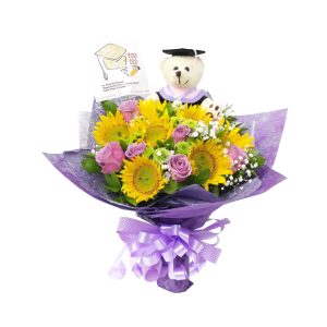 66.png Felixar